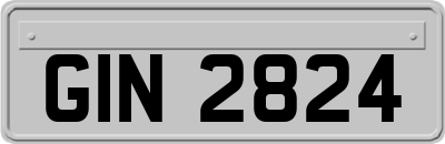 GIN2824