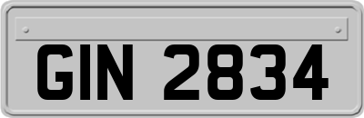 GIN2834