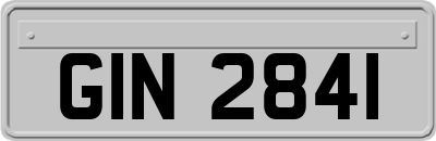 GIN2841