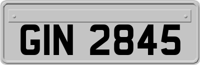 GIN2845