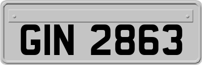 GIN2863