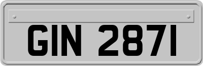 GIN2871