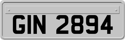 GIN2894