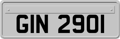 GIN2901
