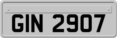 GIN2907