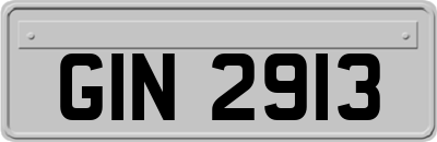 GIN2913