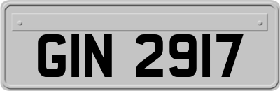 GIN2917