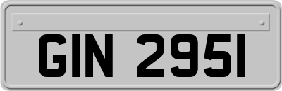 GIN2951