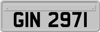 GIN2971