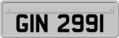 GIN2991