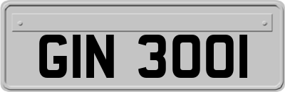GIN3001