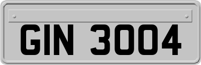 GIN3004