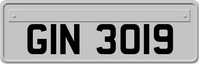 GIN3019