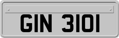 GIN3101
