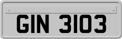 GIN3103