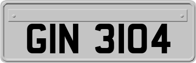 GIN3104