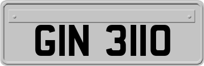 GIN3110