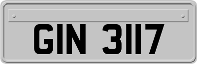 GIN3117