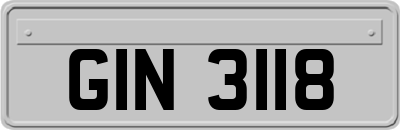 GIN3118
