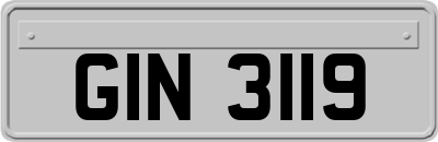 GIN3119