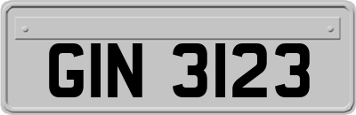 GIN3123