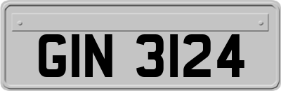 GIN3124