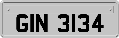 GIN3134