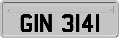 GIN3141
