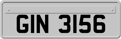 GIN3156