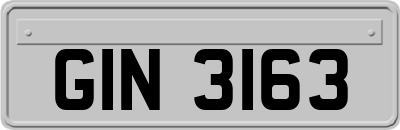 GIN3163