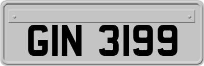 GIN3199