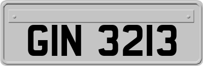 GIN3213