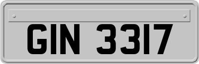 GIN3317