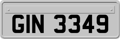 GIN3349