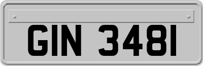 GIN3481