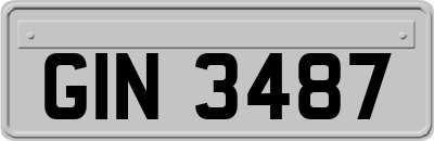 GIN3487