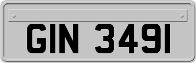 GIN3491