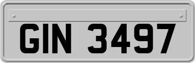GIN3497