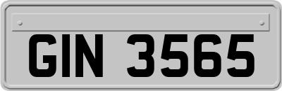 GIN3565
