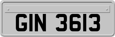 GIN3613