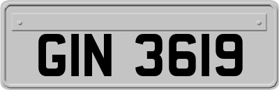 GIN3619