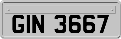 GIN3667