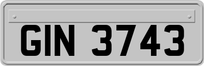 GIN3743