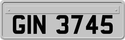 GIN3745