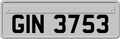 GIN3753
