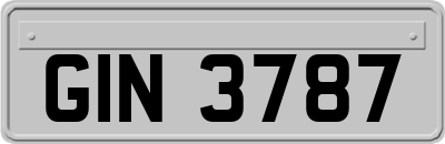 GIN3787