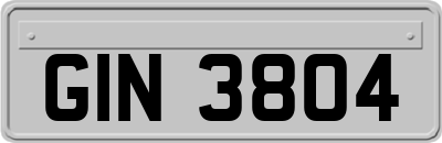 GIN3804