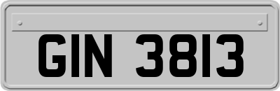 GIN3813
