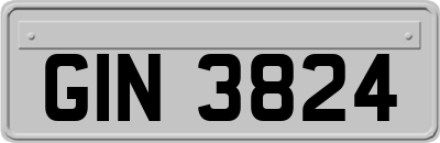 GIN3824