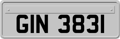 GIN3831